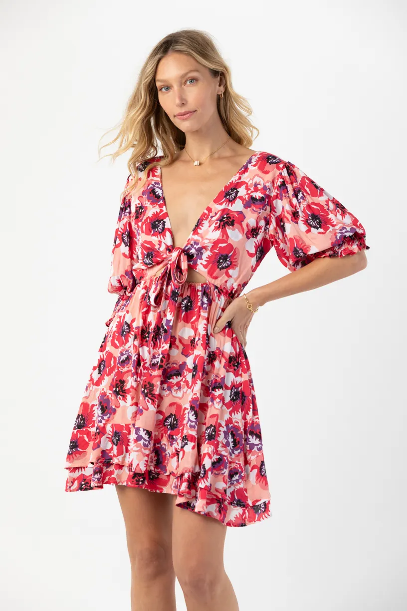 Folklore Mini Dress