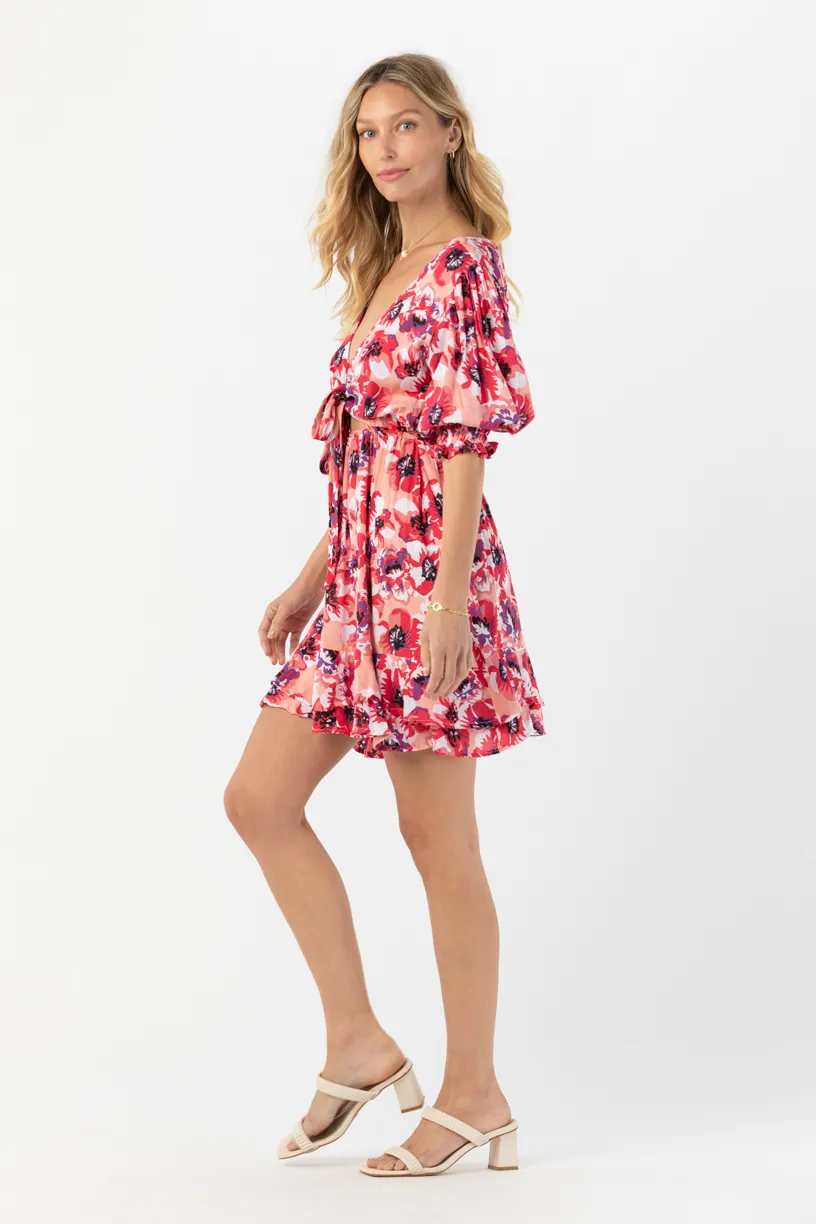 Folklore Mini Dress