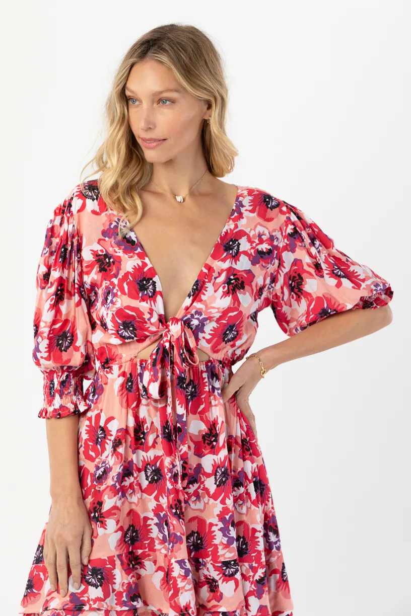 Folklore Mini Dress